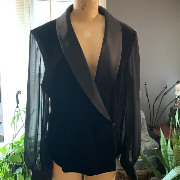 Velveteen Sheer top - Picture 1 of 4